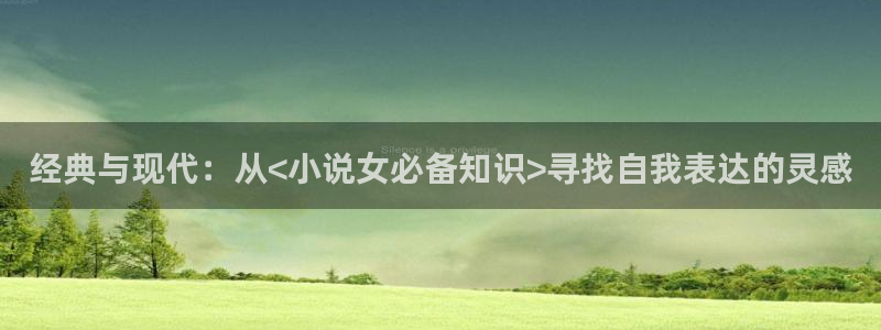 红a同人小说：经典与现代：从<小说女必备知识>寻找自我表达的灵感