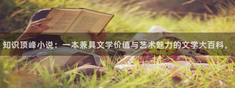 angelababy同人小说：知识顶峰小说：一本兼具文学价值与艺术魅力的文学大百科。