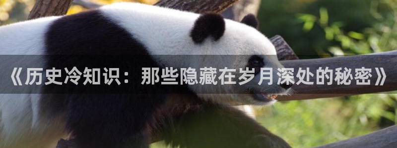 精品同人小说：《历史冷知识：那些隐藏在岁月深处的秘密》